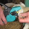 Picture of Automatic SET Tag Applicator