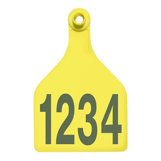 Picture of XL Female BOS | Layout 1 | Sheep