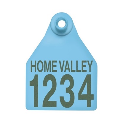 Picture of Large Female BOS | Layout 2 | Sheep