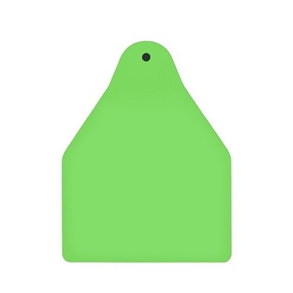 Picture of Large Male BOS | Blank Write-on Tag | Sheep