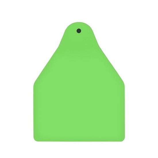 Picture of Large Male BOS | Blank Write-on Tag | Sheep