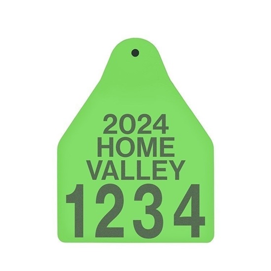 Picture of Large Male BOS | Layout 4 | Sheep