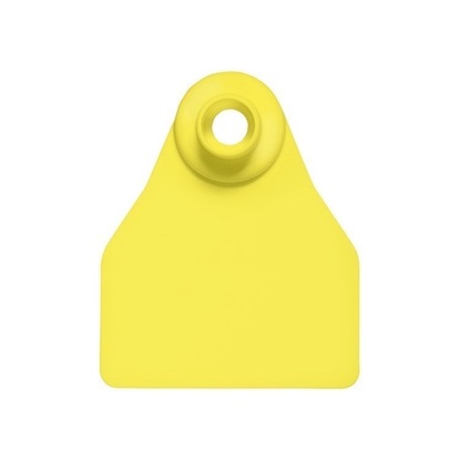 Picture of Small Female BOS | Blank Write-on Tag | Sheep