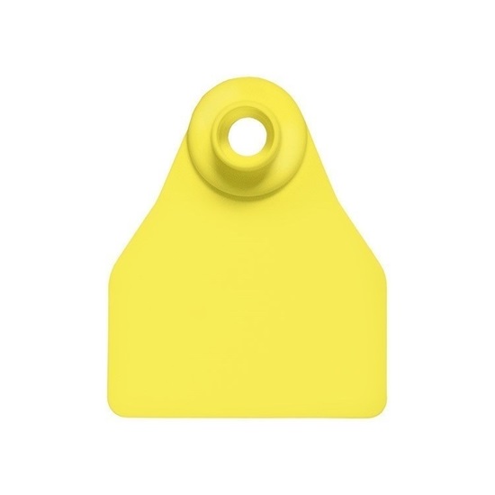 Picture of Small Female BOS | Blank Write-on Tag | Sheep