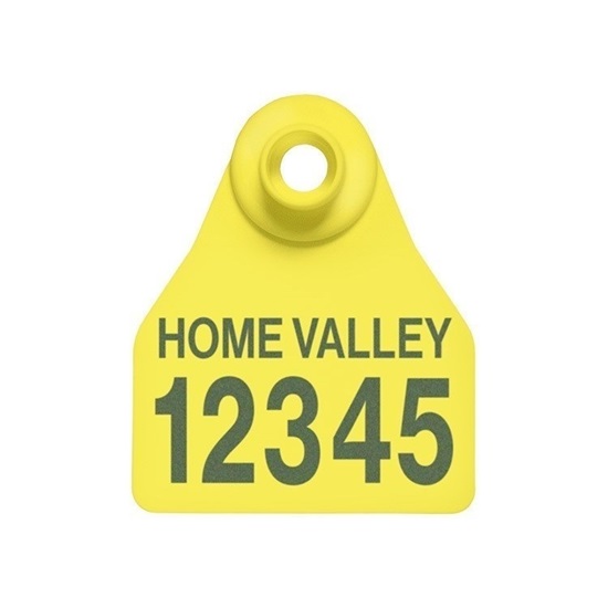 Picture of Small Female BOS | Layout 2 | Sheep