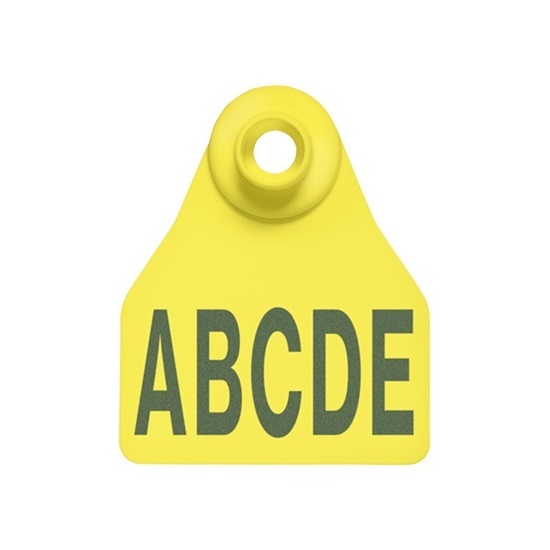 Picture of Small Female BOS | Layout 3 | Sheep