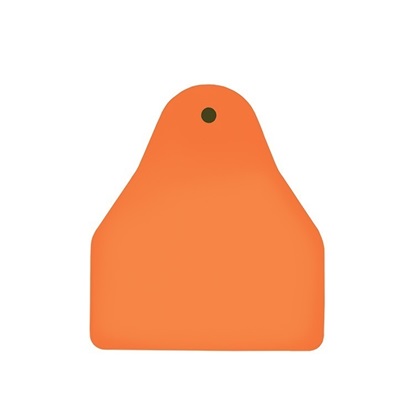 Picture of Small Male BOS | Blank Write-On Tag | Sheep