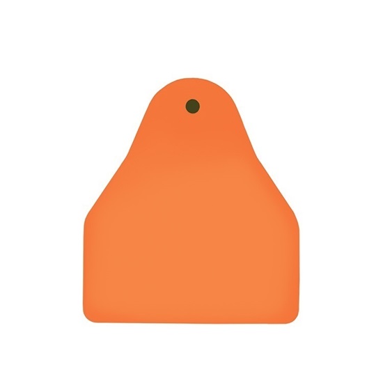 Picture of Small Male BOS | Blank Write-On Tag | Sheep