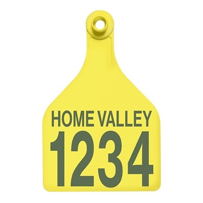 Picture of XL Female BOS | Layout 2 | Sheep