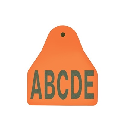 Picture of Small Male BOS | Layout 3 | Cattle