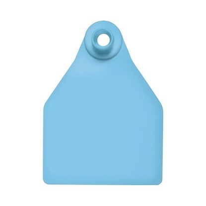 Picture of Large Female BOS | Blank Write-on Tag | Cattle