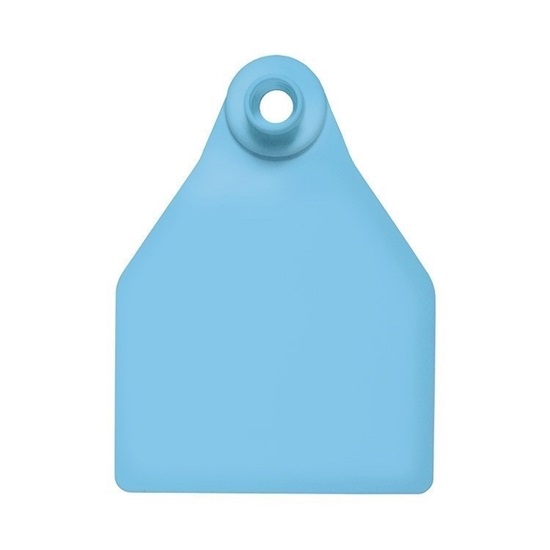 Picture of Large Female BOS | Blank Write-on Tag | Cattle