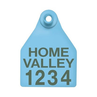 Picture of Large Female BOS | Layout 3 | Cattle