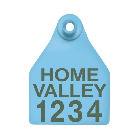 Picture of Large Female BOS | Layout 3 | Cattle