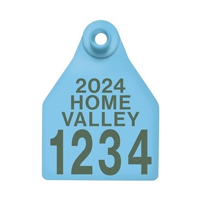 Picture of Large Female BOS | Layout 4 | Cattle