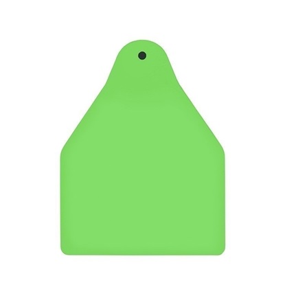 Picture of Large Male BOS | Blank Write-on Tag | Cattle