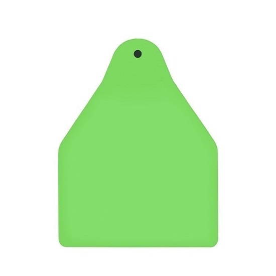 Picture of Large Male BOS | Blank Write-on Tag | Cattle