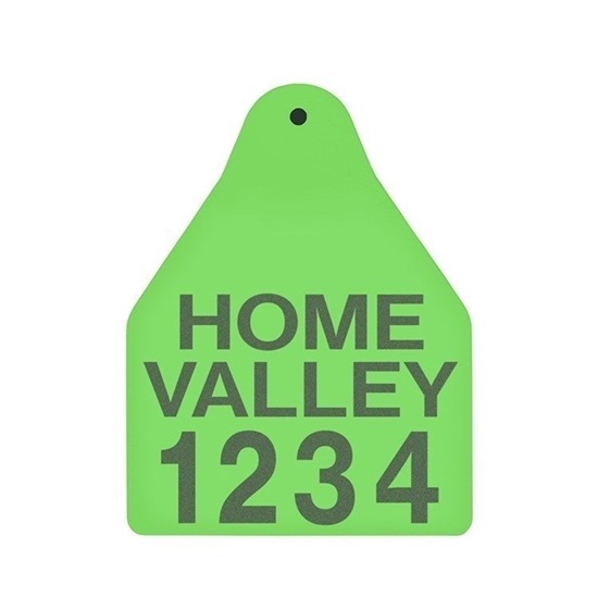 Picture of Large Male BOS | Layout 3 | Cattle