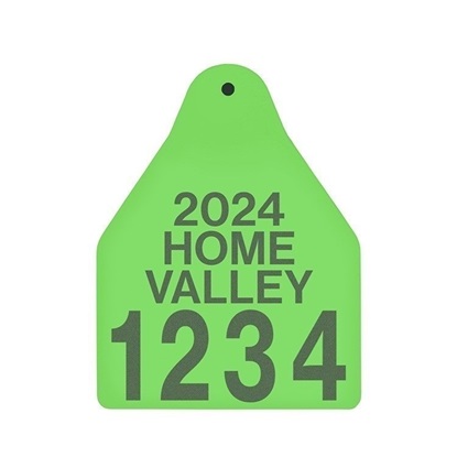 Picture of Large Male BOS | Layout 4 | Cattle