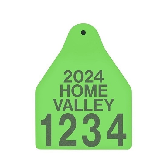 Picture of Large Male BOS | Layout 4 | Cattle