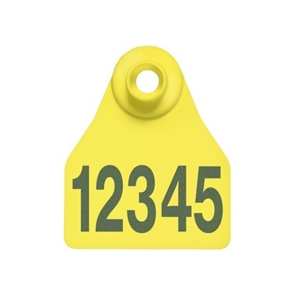 Picture of Small Female BOS | Layout 1 | Cattle