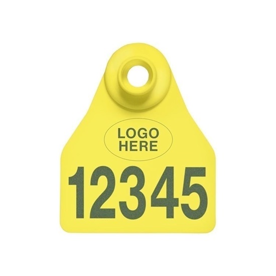 Picture of Small Female BOS | Layout 1 + Logo | Cattle