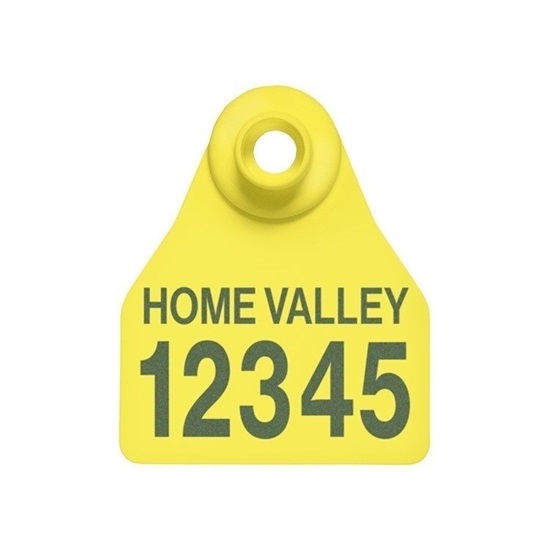 Picture of Small Female BOS | Layout 2 | Cattle