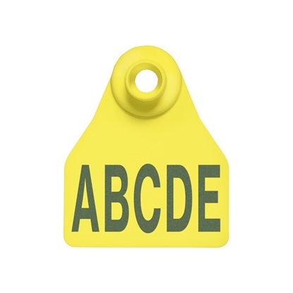 Picture of Small Female BOS | Layout 3 | Cattle