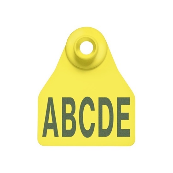 Picture of Small Female BOS | Layout 3 | Cattle