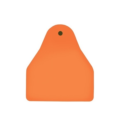 Picture of Small Male BOS | Blank Write-On Tag | Cattle