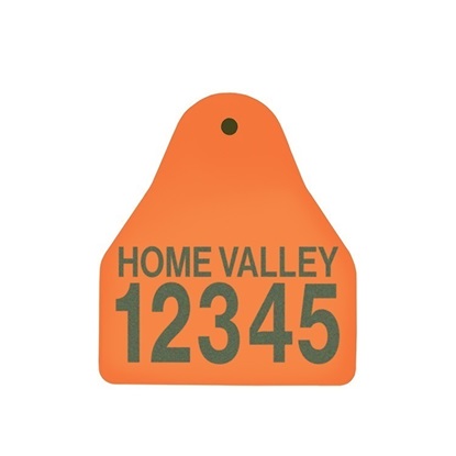 Picture of Small Male BOS | Layout 2 | Cattle