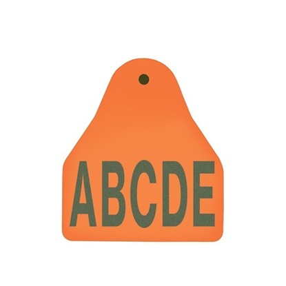 Picture of Small Male BOS | Layout 3 | Sheep