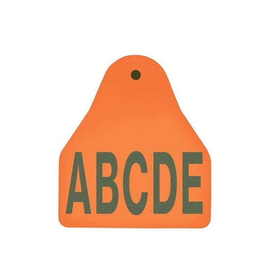 Picture of Small Male BOS | Layout 3 | Sheep