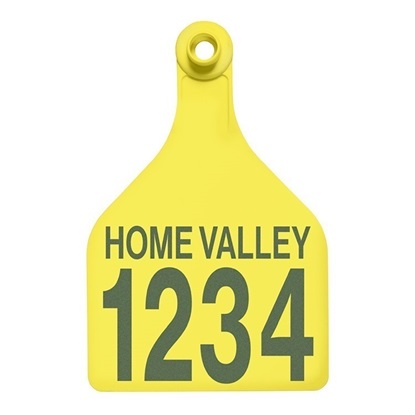 Picture of XL Female BOS | Layout 2 | Cattle