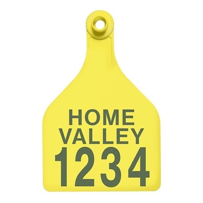 Picture of XL Female BOS | Layout 3 | Cattle