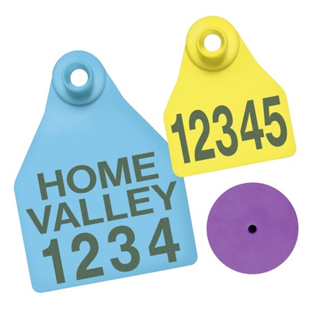 Picture for category BOS Tags for Sheep