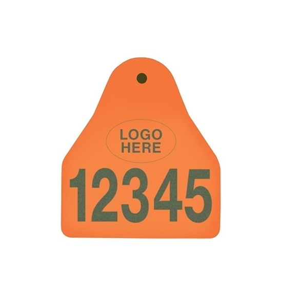 Picture of Small Male BOS | Layout 1 + Logo | Cattle