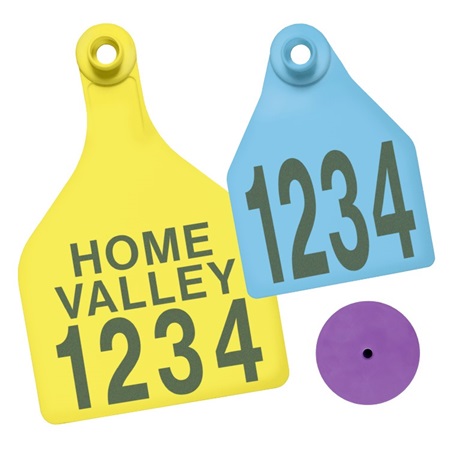 Picture for category Two-Piece Visual Tags for Cattle