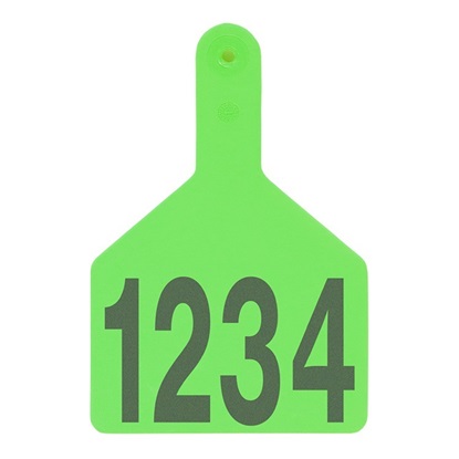 Picture of XL S-Tag | Layout 1