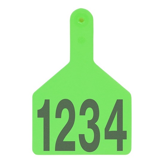 Picture of XL S-Tag | Layout 1