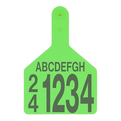 Picture of XL S-Tag | Layout 5