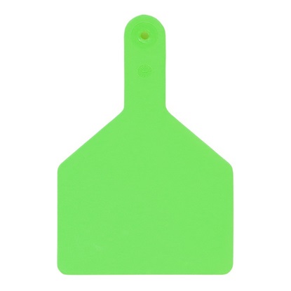 Picture of XL S-Tag | Blank Write-On Tag