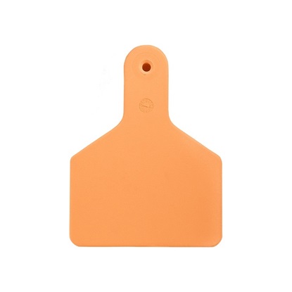 Picture of Large S-Tag | Blank Write-On Tag