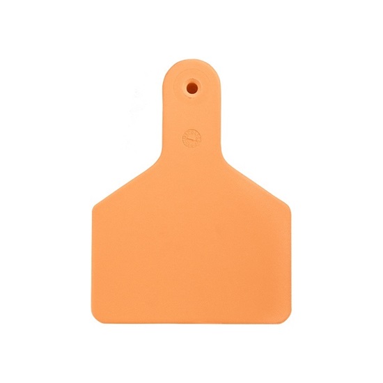 Picture of Large S-Tag | Blank Write-On Tag