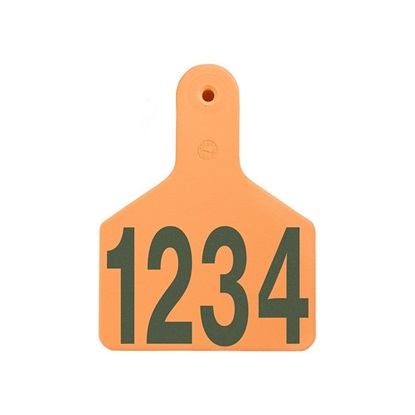 Picture of Large S-Tag | Layout 1