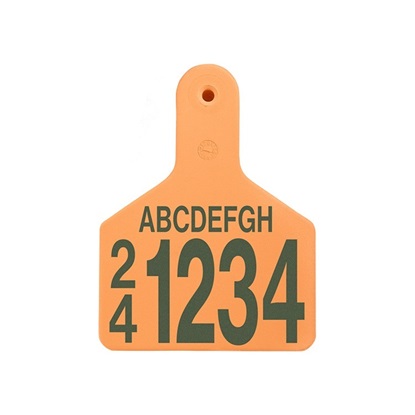 Picture of Large S-Tag | Layout 5