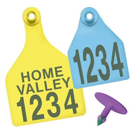 Picture for category Two-Piece Visual Tags for Cattle
