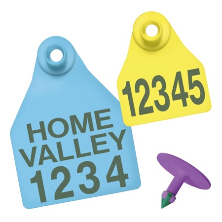 Picture for category Two-Piece Visual Tags for Sheep